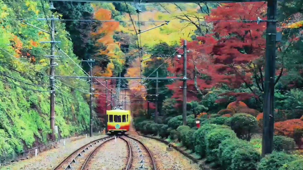 1.攝像組人氣獎《從北海道到東京》 作者：Effie小主.jpg